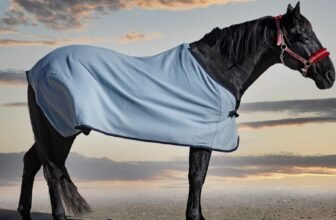 How to Choose a Horse Blanket? | Horse Blanket Buying Guide