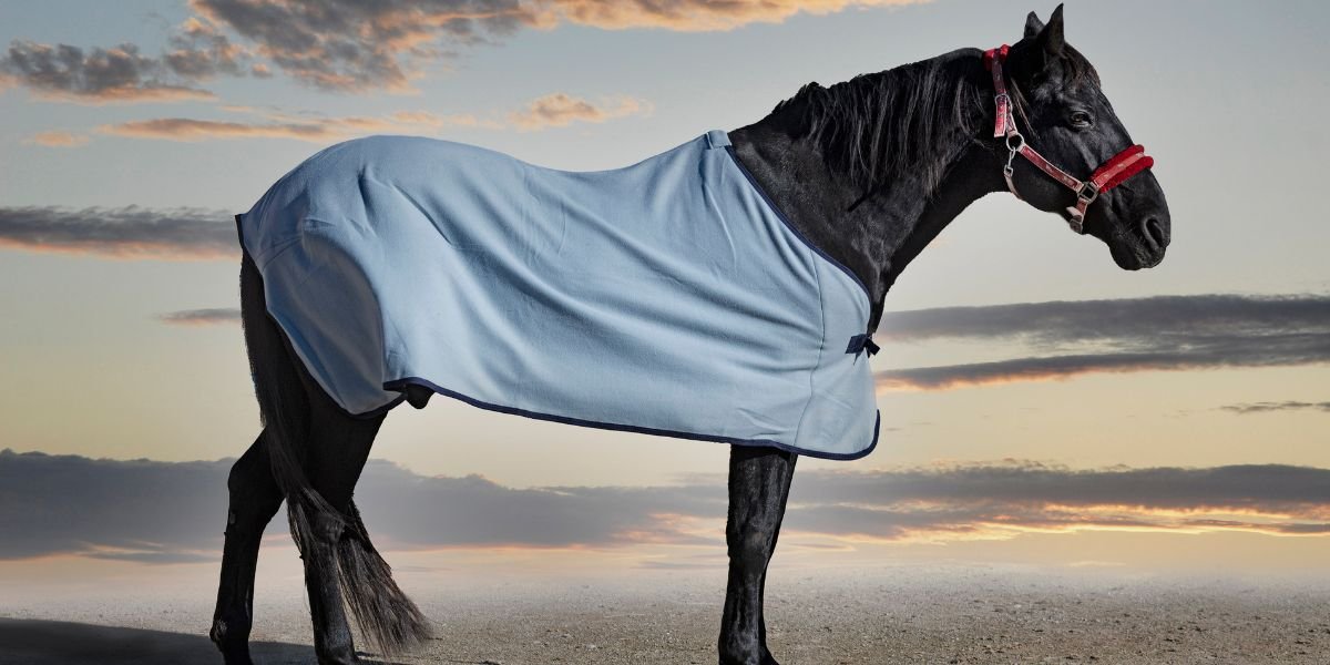 How to Choose a Horse Blanket? | Horse Blanket Buying Guide