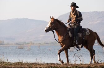 How to Choose the Right Saddle for Your Horse and Riding Style?