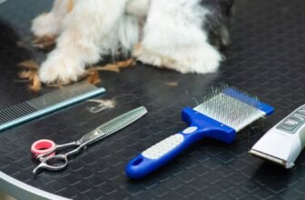 Best Grooming Tools for Every Dog Coat Type | Grooming Brushes
