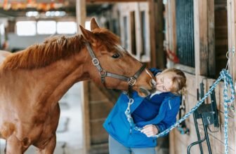 How to Choose the Best Halter and Lead Rope for Your Horse?